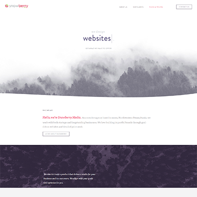 snowberry-media-400